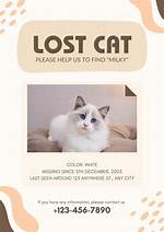Get Lost Kitty!