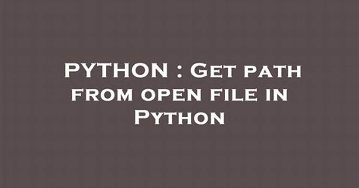 Get Path from Open File in Python