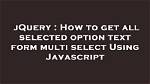 Get Selected Option Text with Javascript