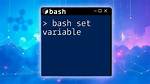 Get Variable Type in Bash