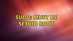 Getting Message "Sudo: Must Be Setuid Root", but Sudo Is Already Owned by Root [Closed]