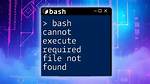Getting the Error: Bash: (Program): Cannot Execute Binary File: Exec Format Error, on Both 32-Bit and 64-Bit Windows