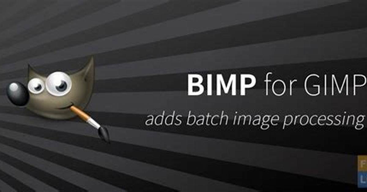 Gimp Plugin Bimp - Problem with Config