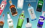 Gin and ___