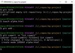 Git Add Command