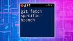Git Fetch Prune Is Not Working