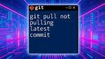 Git Pull Not Pulling Everything