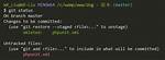 Git Rm Cached