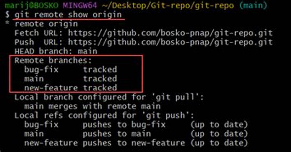 Git Show Remote Url