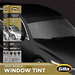 Glare Reducer for a Windshield
