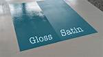 Gloss Meaning