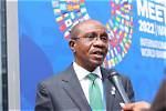 Godwin Emefiele