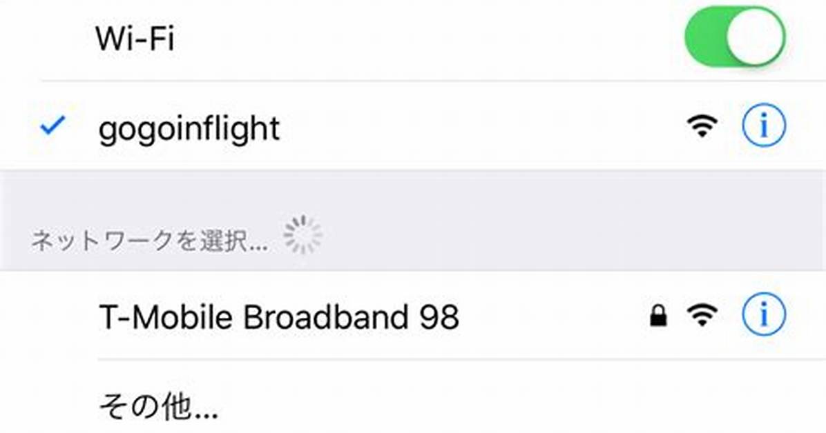 Gogoflight