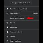 Google Search Adding 'Delete Last 15 Min' of History Shortcut