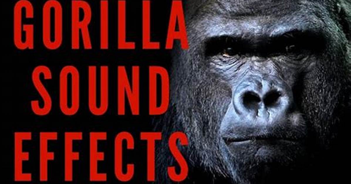 Gorilla Sounds