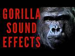 Gorilla Sounds