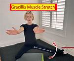 Gracilis Stretch