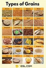 Grains Examples
