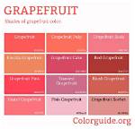 Grapefruit Color