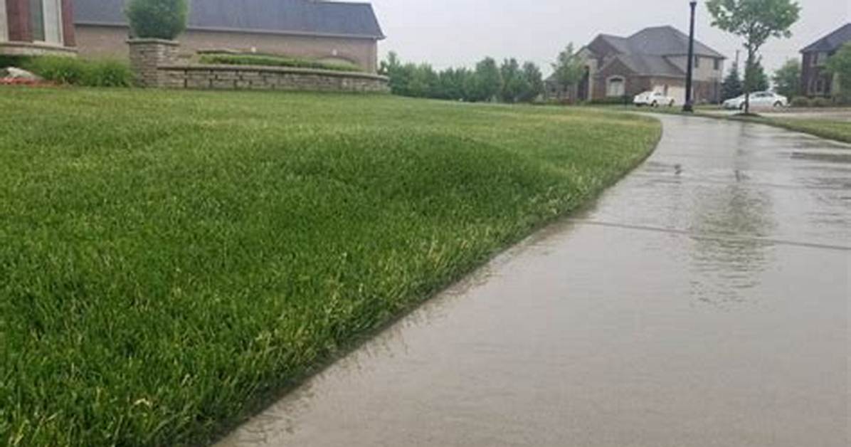 Grass Bubble