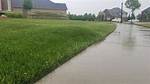 Grass Bubble