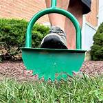 Grass Edger Tool