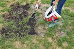 Grass Patch Repair