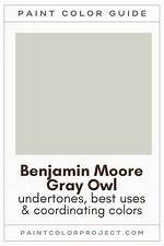 Gray Owl Benjamin Moore