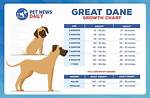 Great Dane Weight Chart