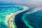 Great ___ Reef