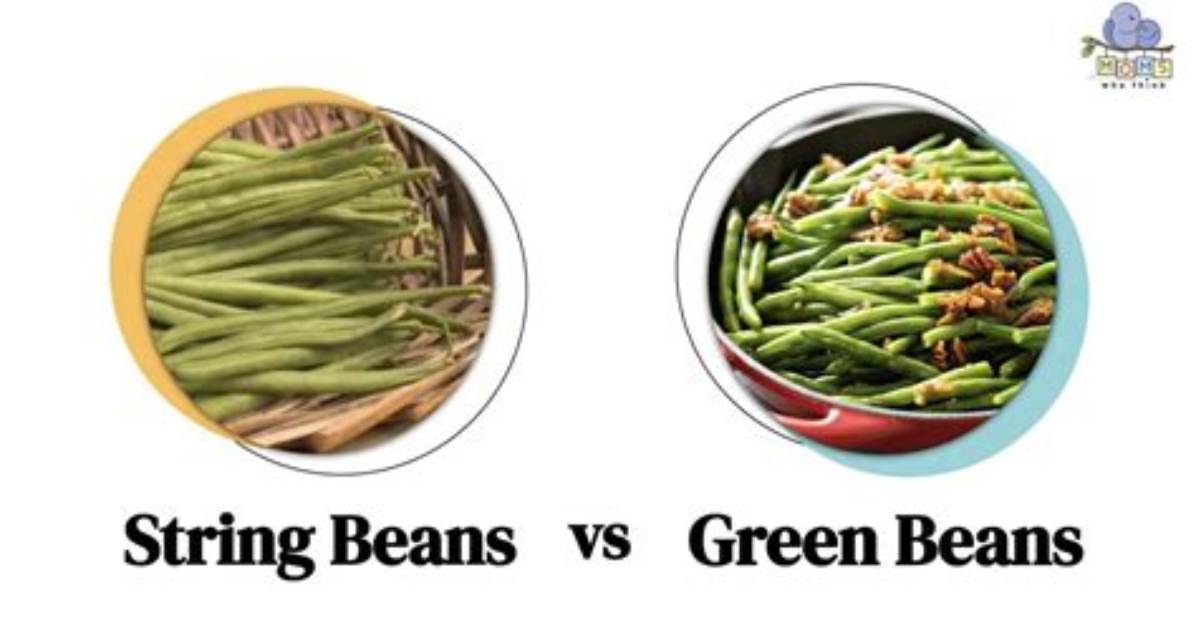 Green Beans vs String Beans