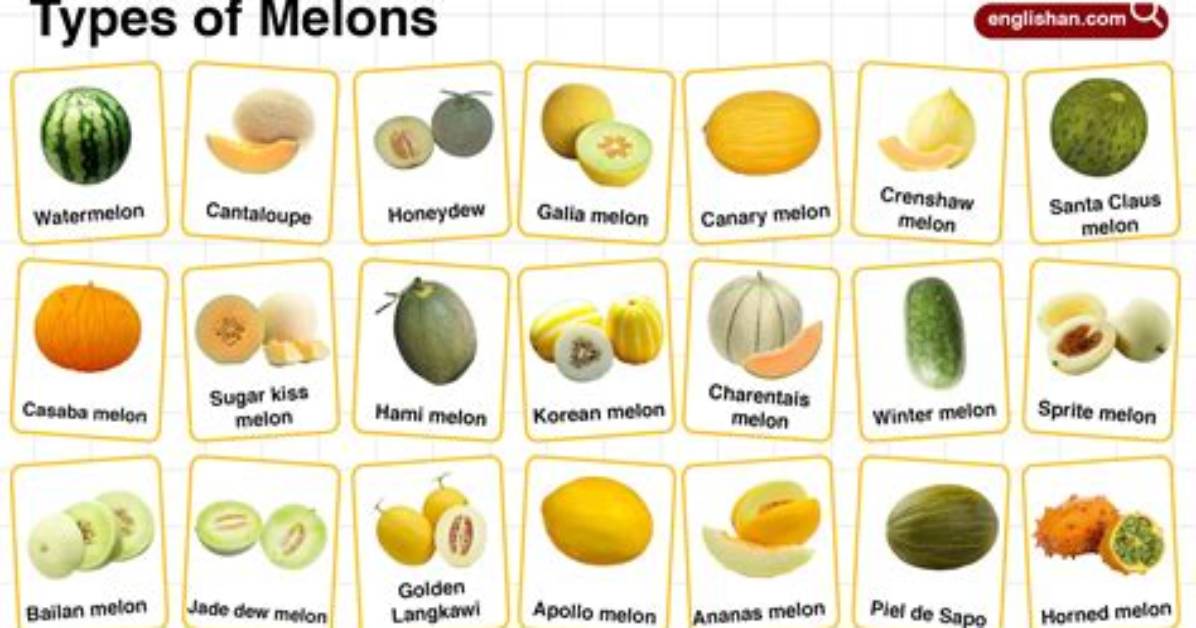 Green Melon Name