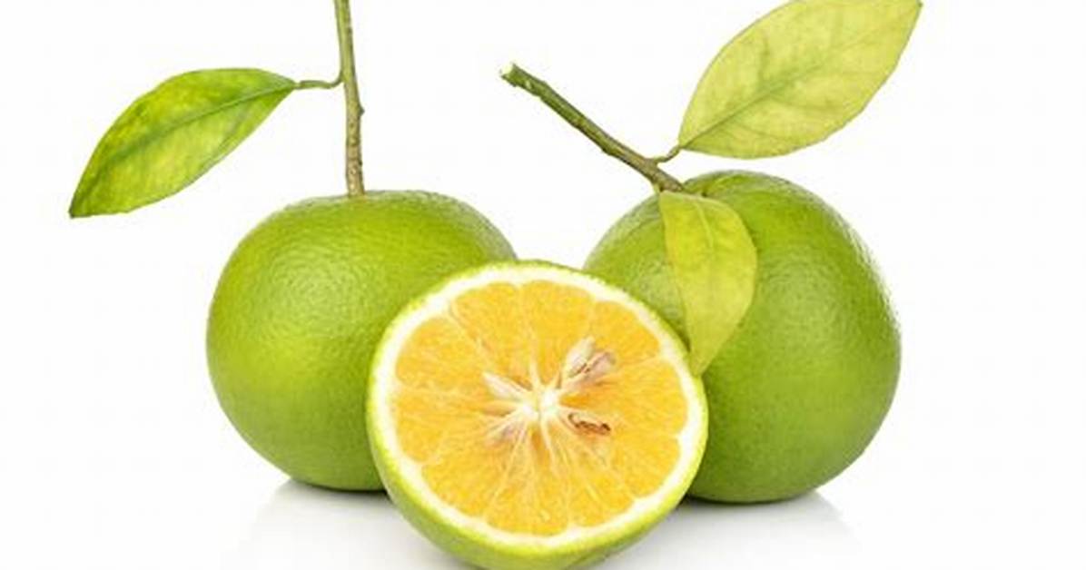 Green Oranges