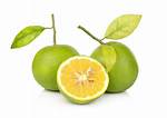 Green Oranges