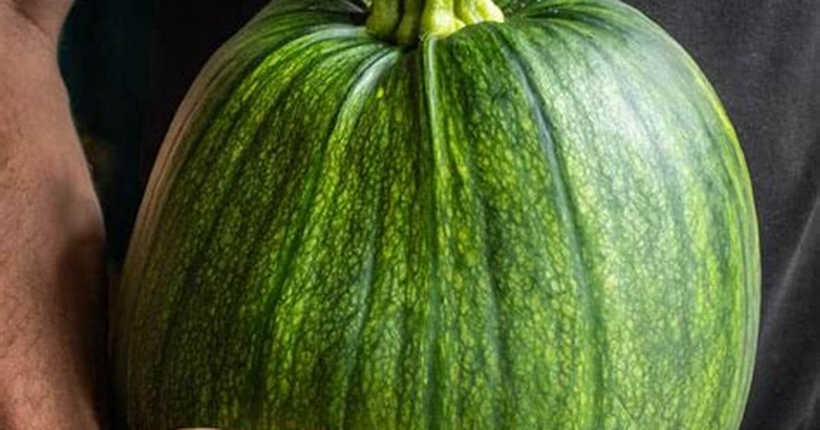 Green Pumpkin