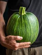 Green Pumpkin