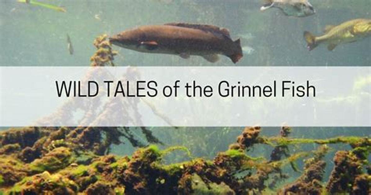 Grinnel Fish