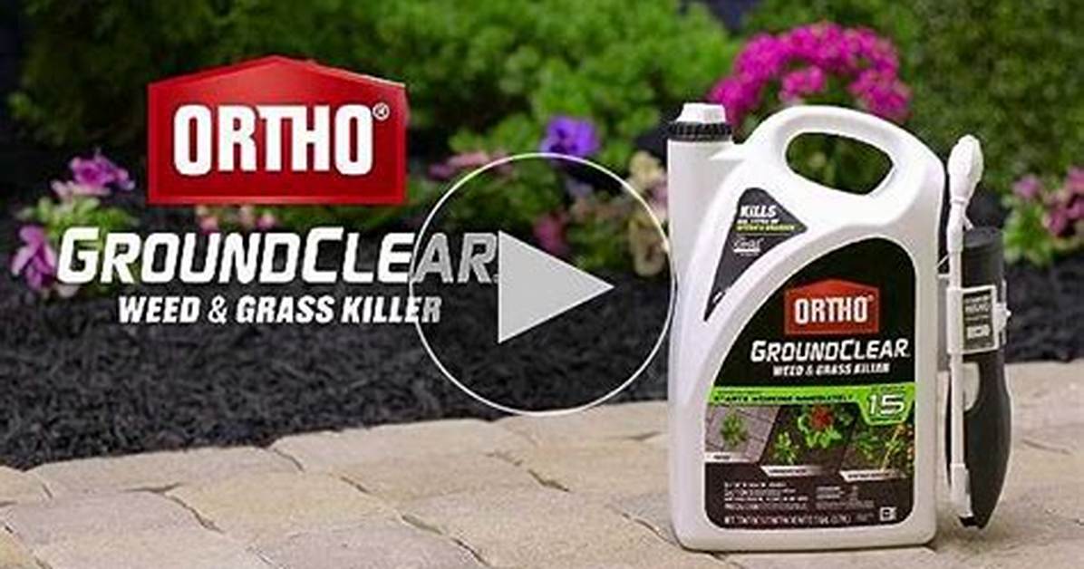 Ground Clear