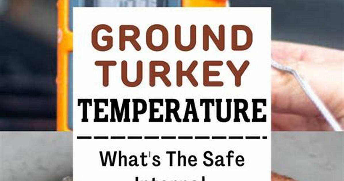 Ground Turkey Temperature