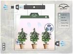 Grow Room Ventilation Setup