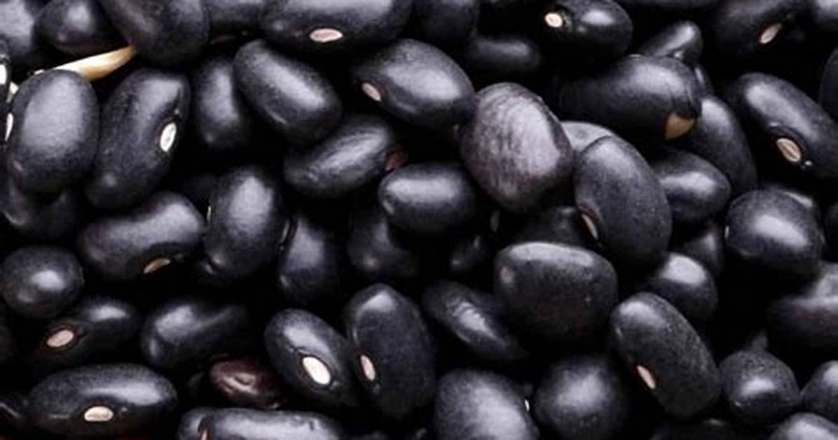 Growing Black Beans