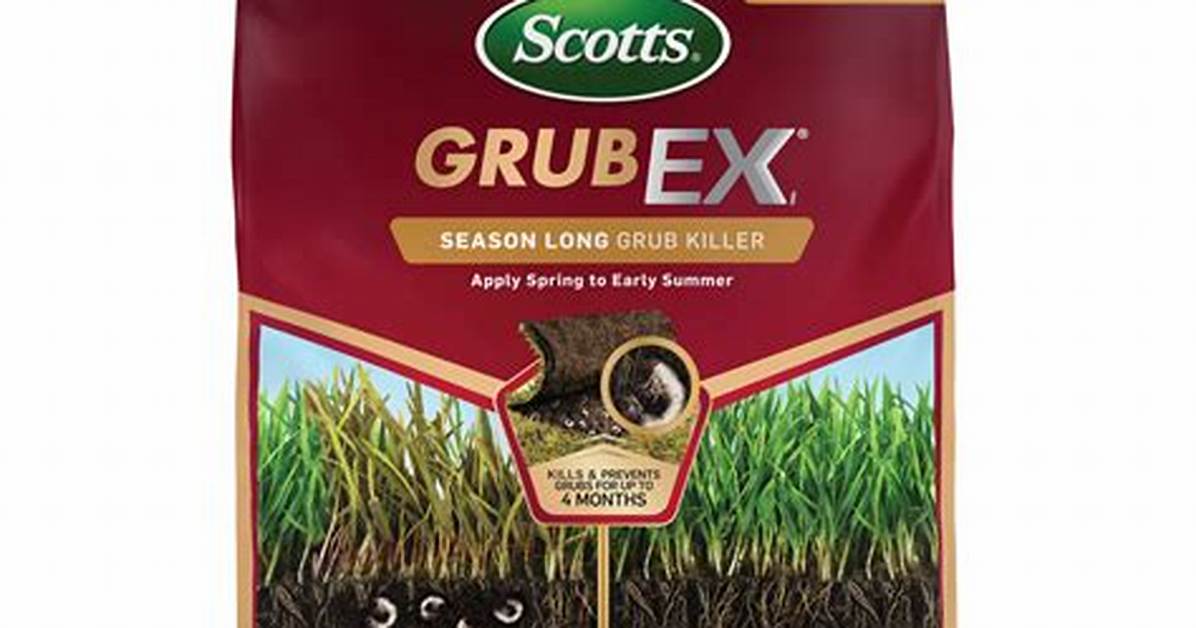 Grub X