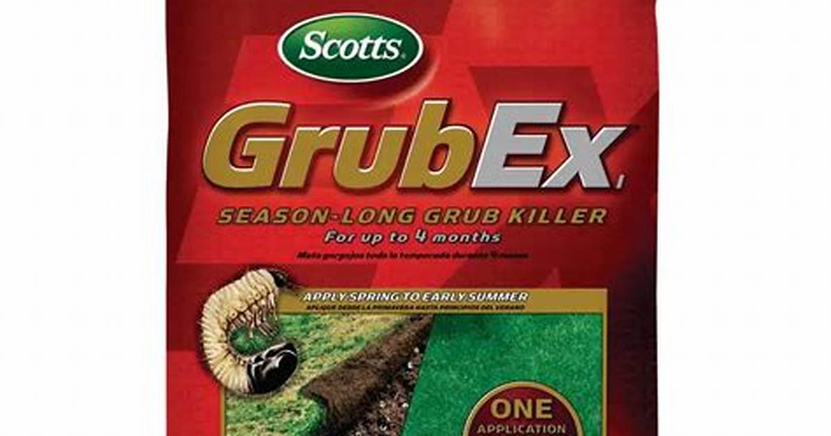 Grubx