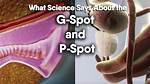 Gspot Shot