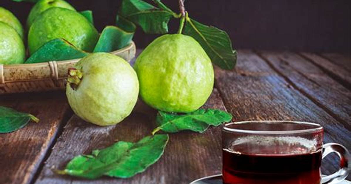 Guava Leaf Tea