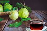 Guava Leaf Tea