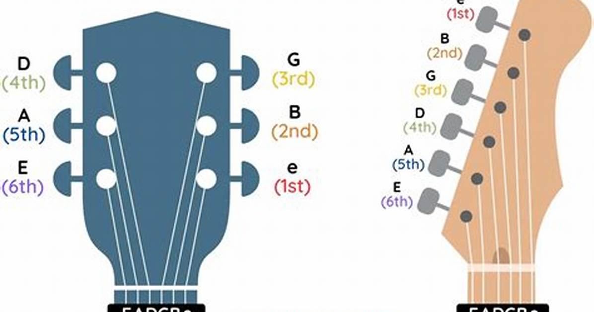 Guitar Notes Strings