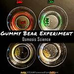 Gummy Bear Experiment