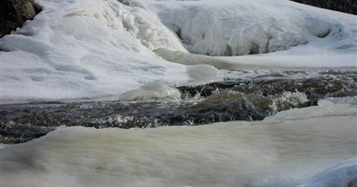 Gush Forth