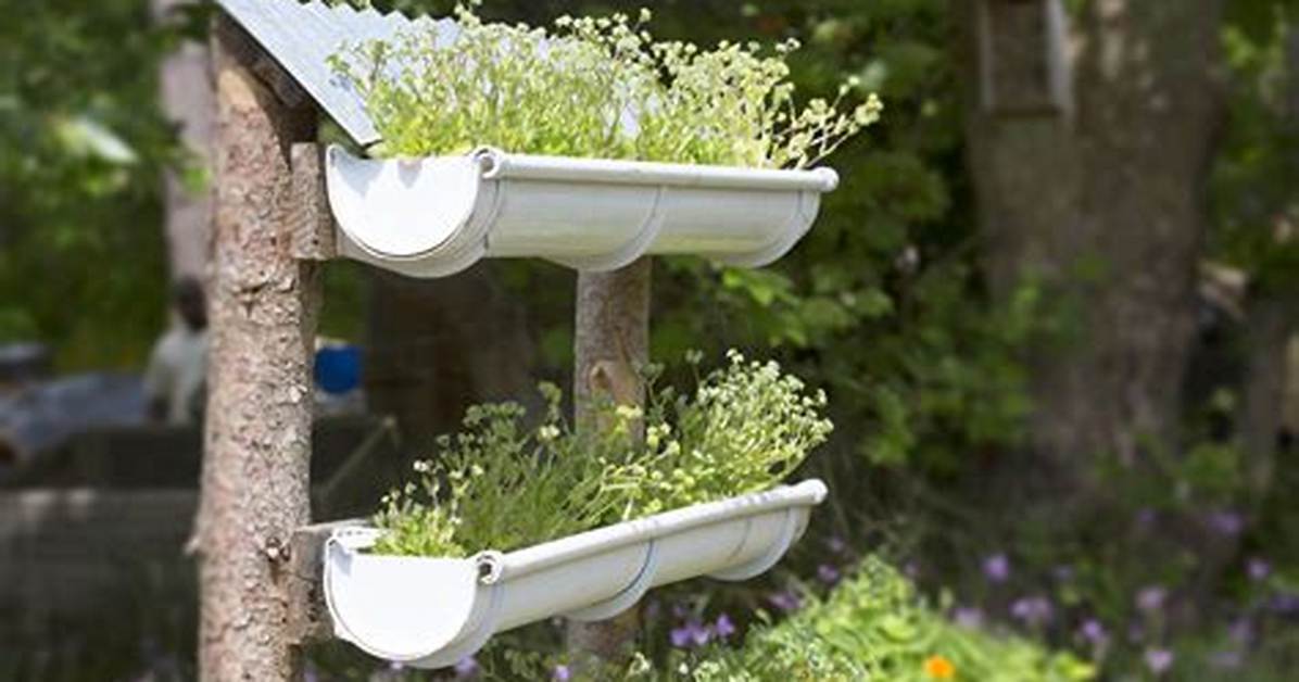 Gutter Garden